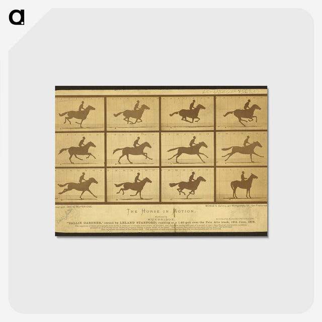 2-18_Eadweard-Muybridge_postcard