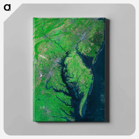 アートパネル-Chesapeake Bay Mosaic
 - 上空からの地球 Canvas.