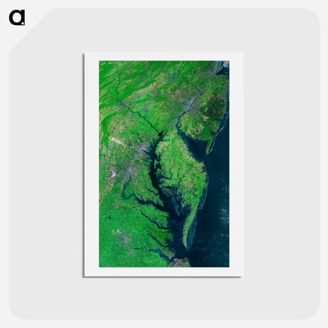 アートポストカード-Chesapeake Bay Mosaic
 - 上空からの地球 Postcard.