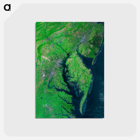 アートポストカード-Chesapeake Bay Mosaic
 - 上空からの地球 Postcard.