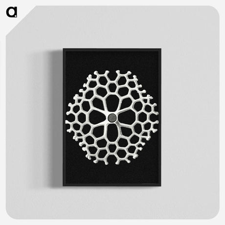 2-18_Ernst-Haeckel_blk-crop
