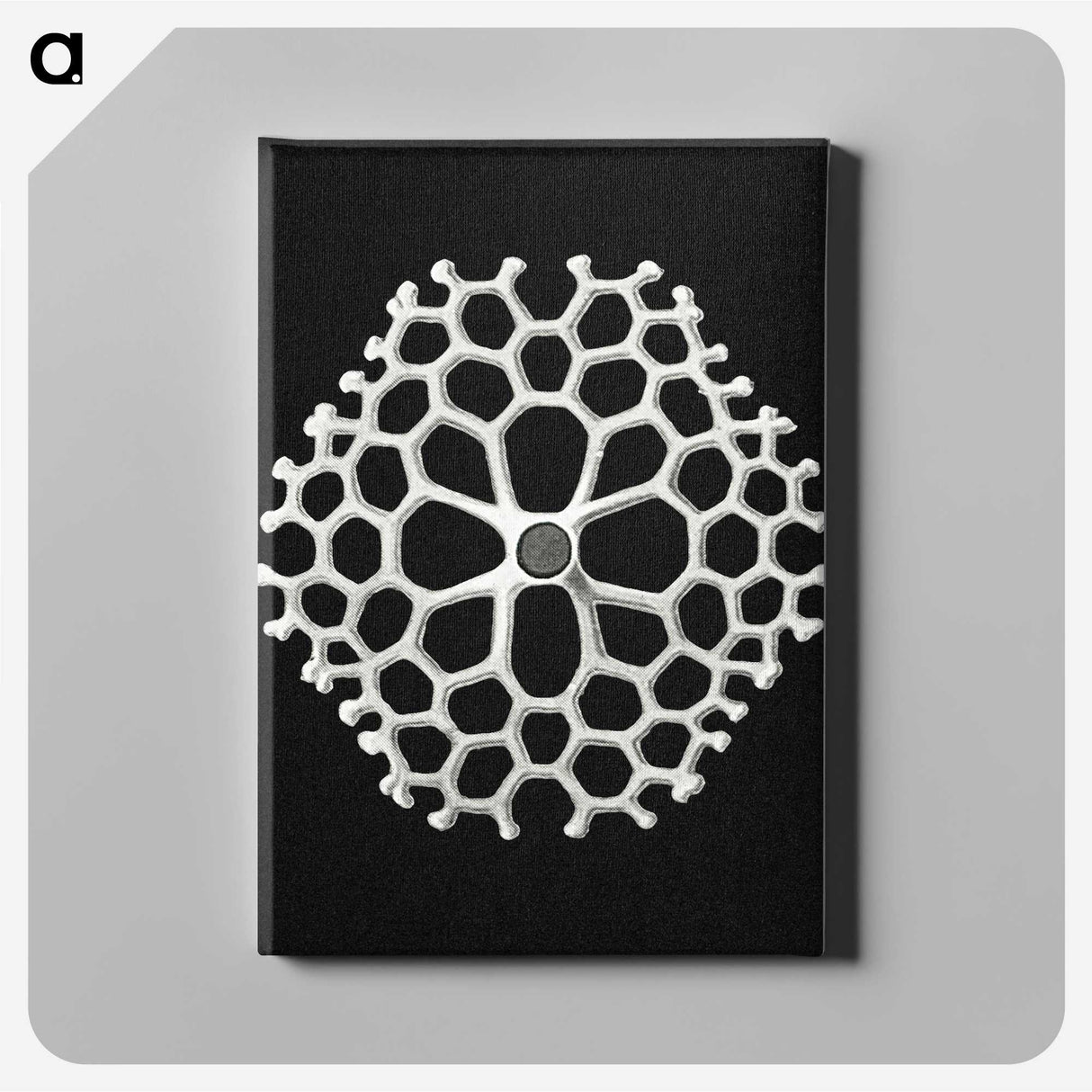 2-18_Ernst-Haeckel_canvas