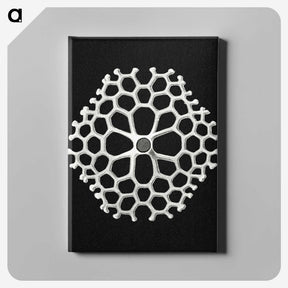 2-18_Ernst-Haeckel_canvas