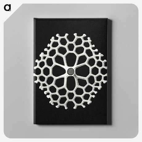 2-18_Ernst-Haeckel_canvas
