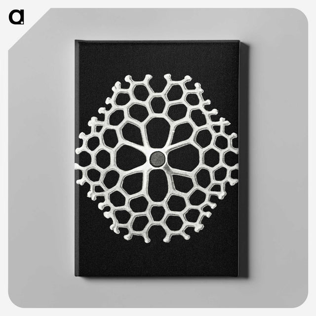 2-18_Ernst-Haeckel_canvas
