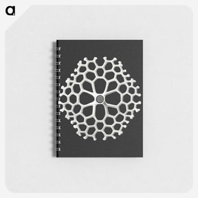 2-18_Ernst-Haeckel_memo