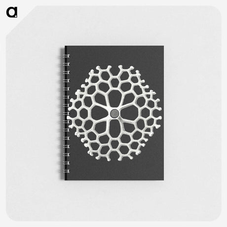 2-18_Ernst-Haeckel_memo
