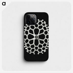 2-18_Ernst-Haeckel_phone