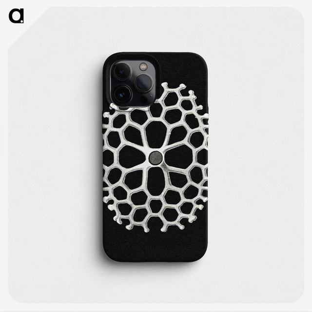 2-18_Ernst-Haeckel_phone