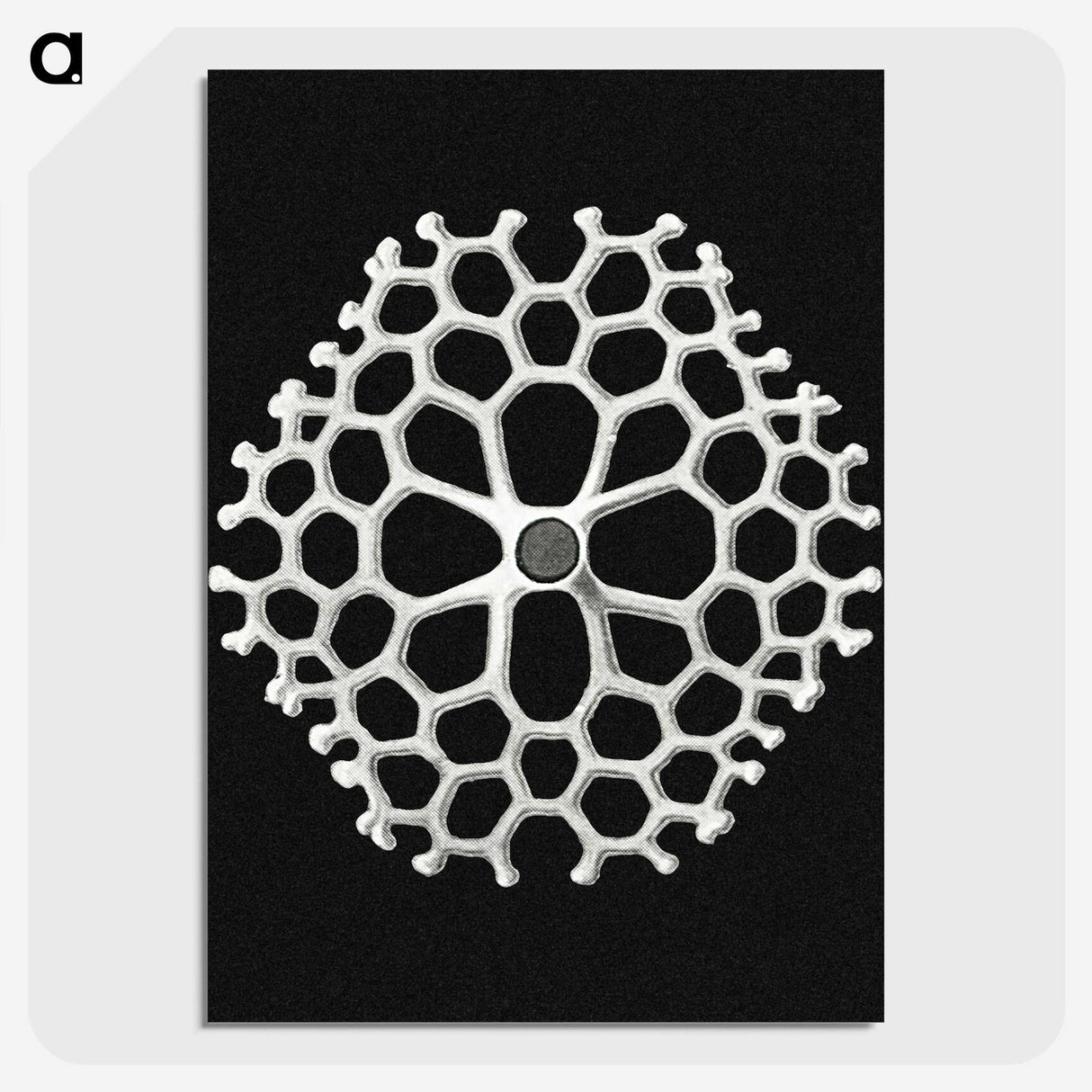 2-18_Ernst-Haeckel_picture-crop