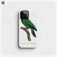 2-18_Francois-Levaillant_phone