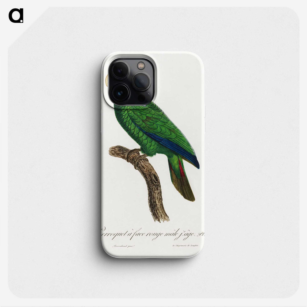 2-18_Francois-Levaillant_phone