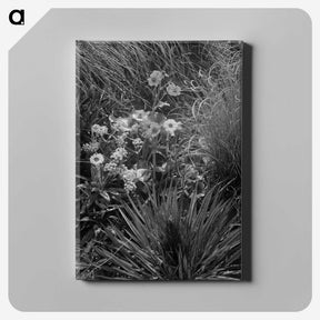 2-18_Frederick-Charles-Brockett_canvas