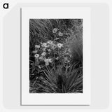 2-18_Frederick-Charles-Brockett_picture