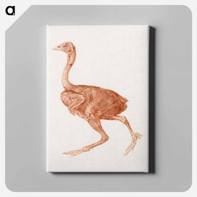 アートパネル-Dorking Hen, Lateral View
 - ジョージ スタッブス Canvas.
