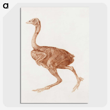 2-18_George-Stubbs_picture-crop
