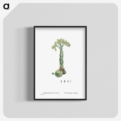 2-18_Histoire-des-Plantes-Grasses_blk-crop