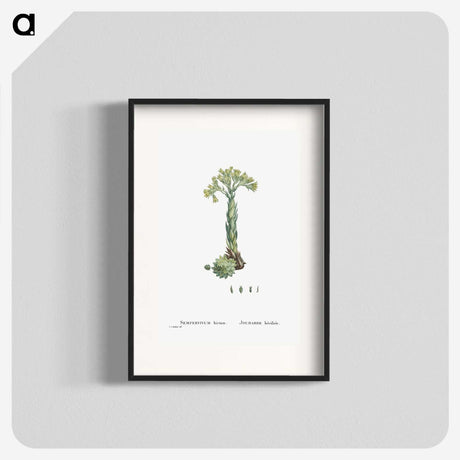 2-18_Histoire-des-Plantes-Grasses_blk