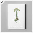 2-18_Histoire-des-Plantes-Grasses_canvas
