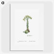 2-18_Histoire-des-Plantes-Grasses_picture