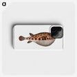 2-18_Ichtyologie-ou-Histoire-naturelle_phone