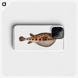 2-18_Ichtyologie-ou-Histoire-naturelle_phone