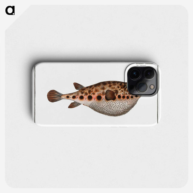 2-18_Ichtyologie-ou-Histoire-naturelle_phone