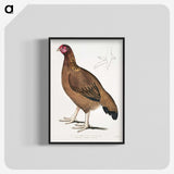 2-18_Indian-Zoology_blk-crop