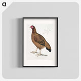 2-18_Indian-Zoology_blk