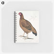 2-18_Indian-Zoology_memo
