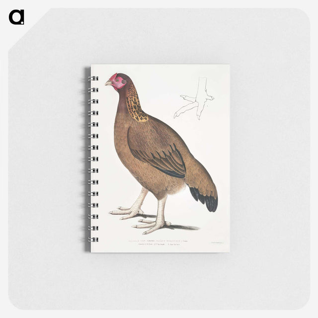 2-18_Indian-Zoology_memo