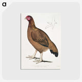2-18_Indian-Zoology_postcard