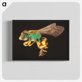 2-18_Insects-Unlocked-Project_blk-crop