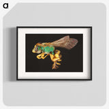 2-18_Insects-Unlocked-Project_blk