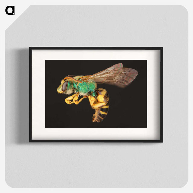 2-18_Insects-Unlocked-Project_blk