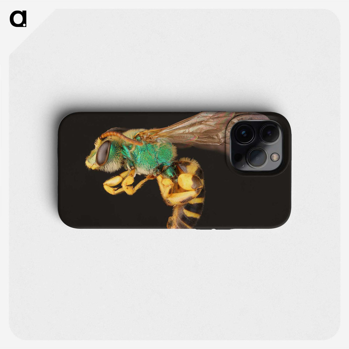 2-18_Insects-Unlocked-Project_phone