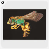 2-18_Insects-Unlocked-Project_picture-crop