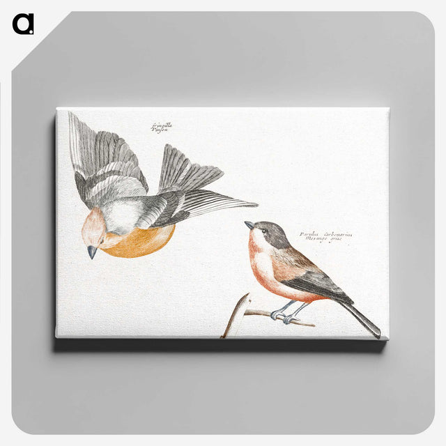 2-18_Johan-Teyler_canvas