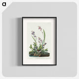 2-18_John-James-Audubon_blk
