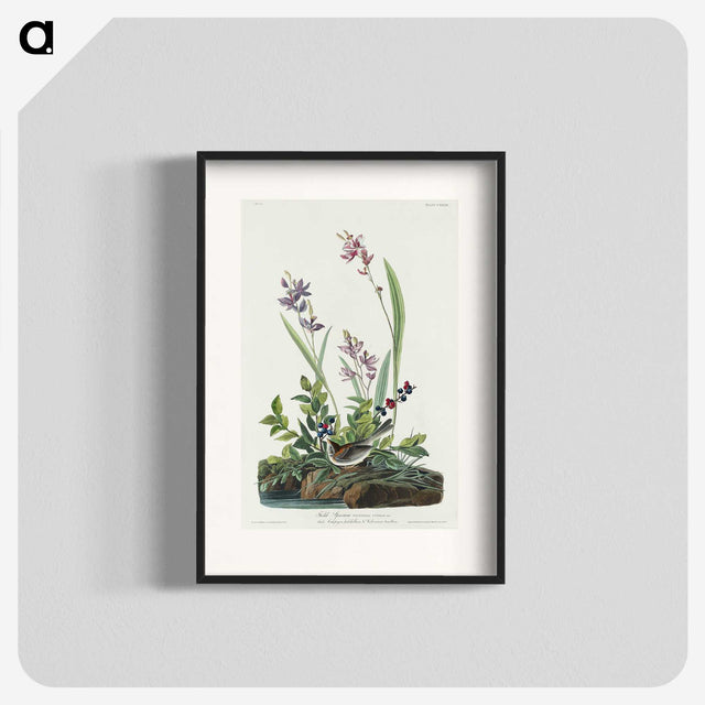2-18_John-James-Audubon_blk