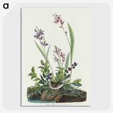 2-18_John-James-Audubon_picture-crop