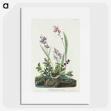 2-18_John-James-Audubon_picture