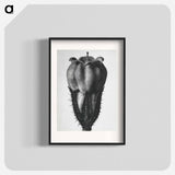 Symphytum Officinale (Common Comfrey) - カール ブロスフェルト Poster.