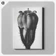 2-18_Karl-Blossfeldt_canvas