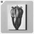 アートパネル-Symphytum Officinale (Common Comfrey) - カール ブロスフェルト Canvas.