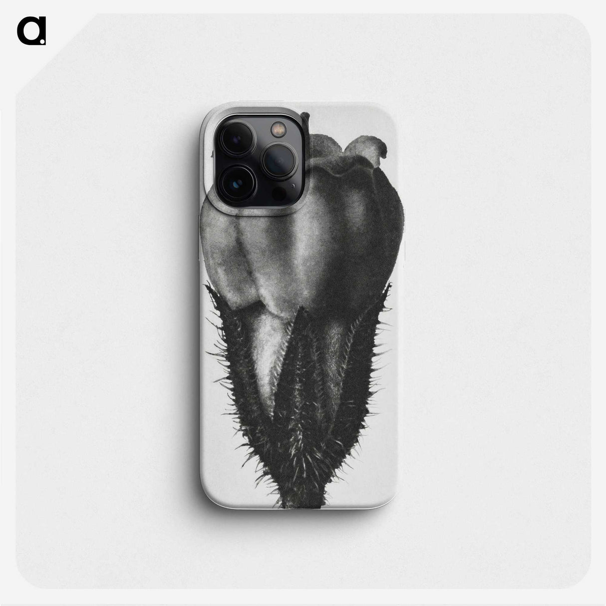 2-18_Karl-Blossfeldt_phone