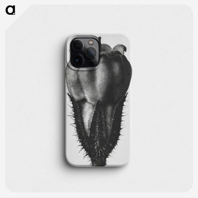 2-18_Karl-Blossfeldt_phone