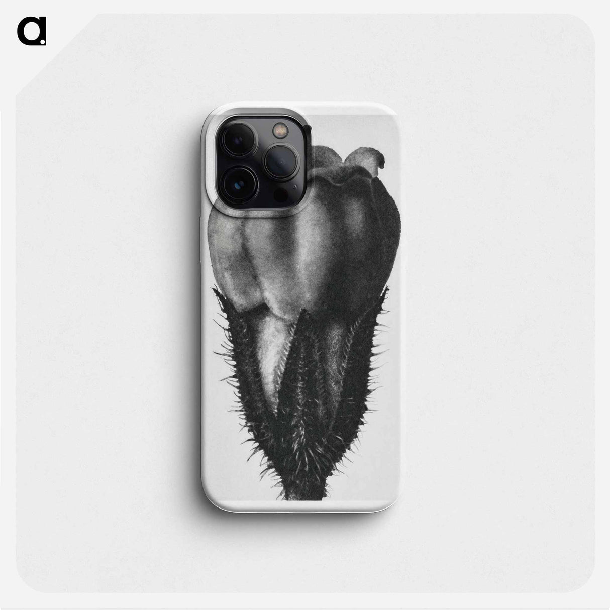 Symphytum Officinale (Common Comfrey) - Karl Blossfeldt Phone Case.