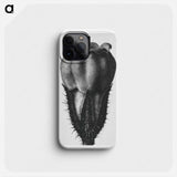 Symphytum Officinale (Common Comfrey) - カール ブロスフェルト Phone Case.