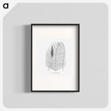2-18_Les-Palmiers-Histoire-Iconographique_blk